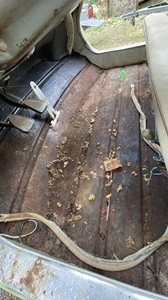 Plancher à refaire de la Dyna Z12