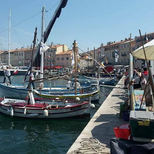 Bateaux aux Voiles latines 2015 Bateaux à voiles latines dans le port de Saint-Tropez en 2015