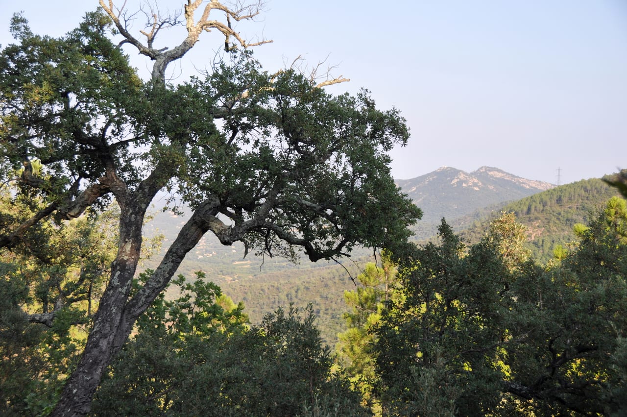 Vue du Plan-de-la-Tour