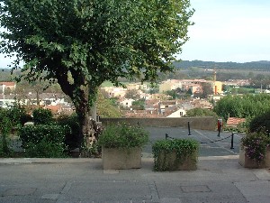 Vue de Cogolin